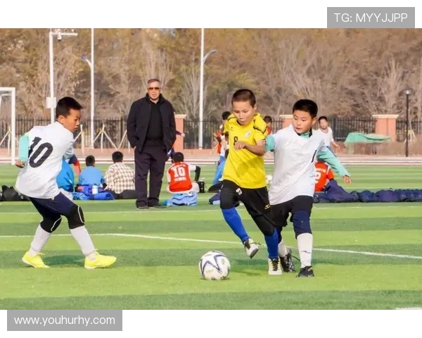 绿茵逐梦激情碰撞世界豪强共谱足球荣耀盛宴 绿茵逐梦激情碰撞世界豪强共谱足球荣耀盛宴