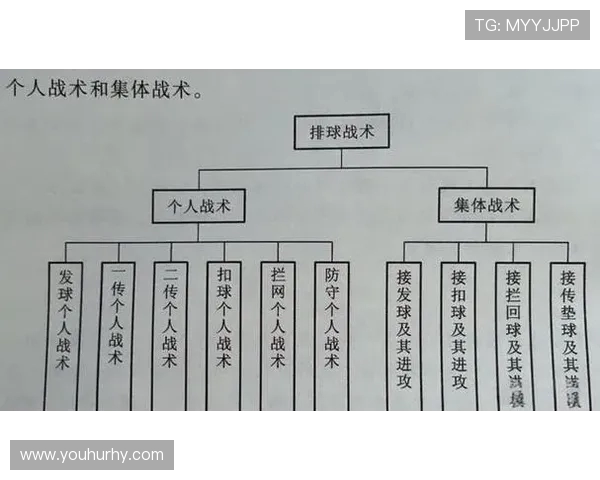北京排球队的团队协作精神与战术配合探讨 北京排球队的团队协作精神与战术配合探讨