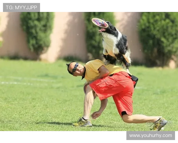 深圳飞盘队在极限运动世界杯中的战术分析与表现评估